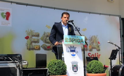 FESTA DA ESPIGA