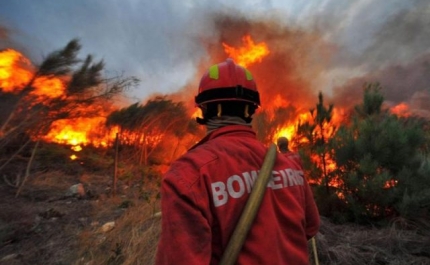 Incêndios: Tavira e São Brás de Alportel em risco máximo