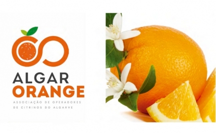 BikeMe com o apoio Algarorange