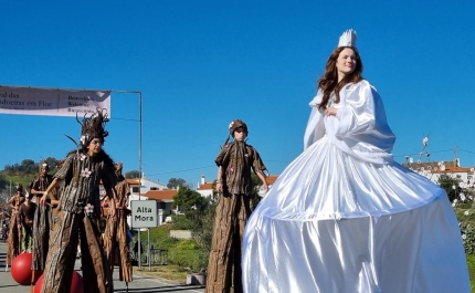 Festival de Amendoeiras em Flor com sete mil visitantes em três dias