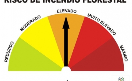 Cinco concelhos de Faro, Santarém e Castelo Branco sob risco muito elevado de incêndio