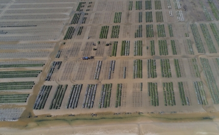 Roteiros «aMAR a Terra» na Produção Ostrícola