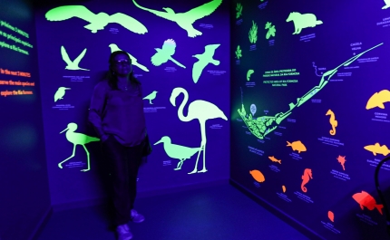 Novo centro convida a experiência imersiva na história de Faro e da Ria Formosa 
