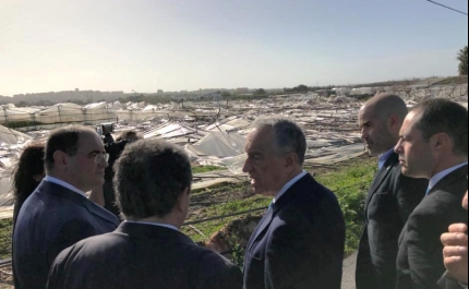Mau tempo: Prejuízo em infraestruturas agrícolas algarvias é de 3,6 milhões