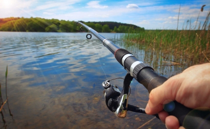 DGRM recorda procedimento para renovar licenças de pesca para 2023