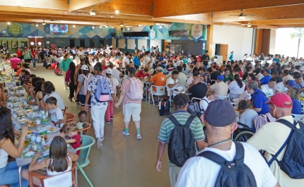 Zoomarine junta mais de 1000 crianças e jovens de instituições sociais para assinalar o Dia Mundial do Sorriso