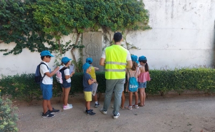 Férias de Verão no Museu Municipal de Tavira