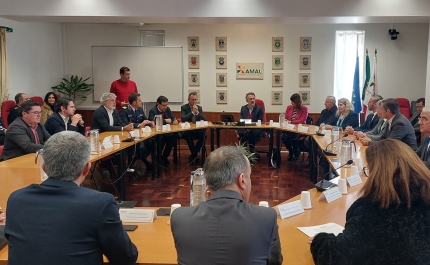 Algarve quer «verdadeiro» sistema de alerta de tsunamis e força permanente de bombeiros