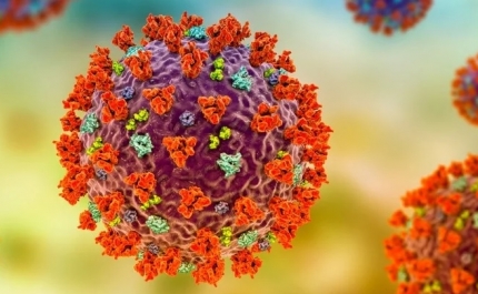 Covid-19: Algarve hoje com 22 novos casos