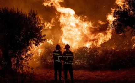 Incêndios: Monchique conseguiu conter entrada do fogo de Odemira - autarca