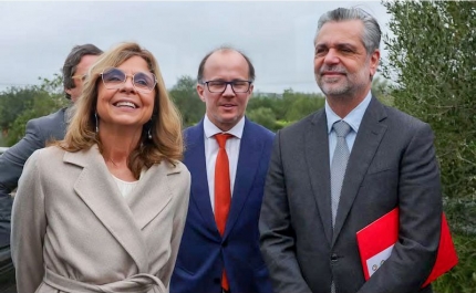 Mais 26 mil algarvios passam a ter médico de família