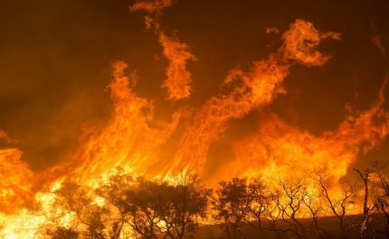 Incêndios: Agricultores afetados já podem reportar prejuízos