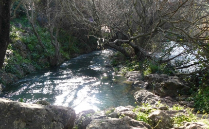 MAIS DE 200 MIL PESSOAS VISITARAM A PAISAGEM PROTEGIDA DA FONTE DA BENÉMOLA