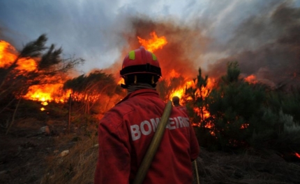 Incêndios: Vinte e cinco concelhos de cinco distritos em perigo máximo