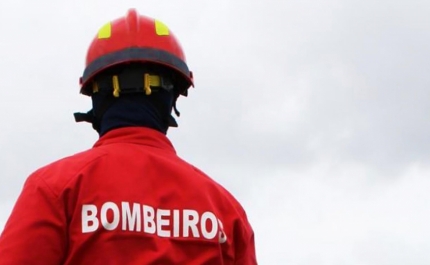 Incêndios: Fogo do Algarve obrigou a retirar de casa 81 pessoas e a evacuar canil - balanço