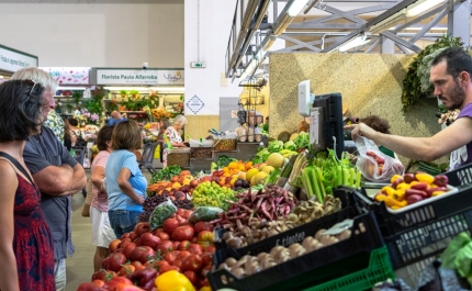 Mercado Municipal de Portimão abre hasta pública sobre módulo para comercialização de produtos hortofrutícolas