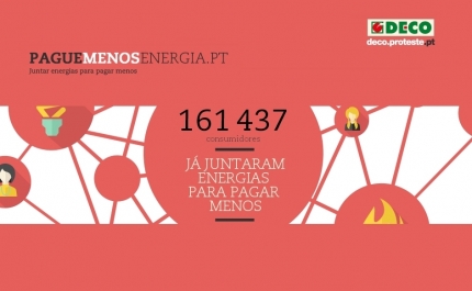 LEILÃO DECO - Qual o objetivo e como funciona