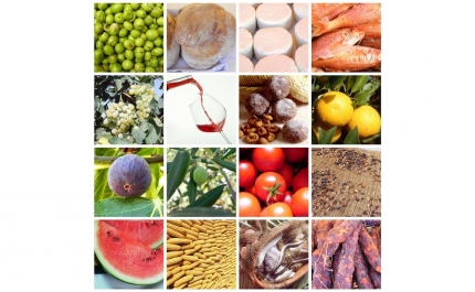 PASSATEMPO PREMEIA FOTOGRAFIAS DOS SEGREDOS MEDITERRÂNICOS DO ALGARVE