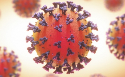 Covid-19: Algarve regista hoje 41 novos casos 