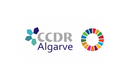 CCDR ALGARVE TEM DE NOVO CHEFIA DE DIVISÃO DE RECURSOS HUMANOS
