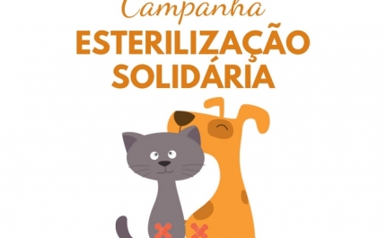 MUNICÍPIO DE ALBUFEIRA APOIA ASSOCIAÇÃO PATA ATIVA EM CAMPANHA DE ESTERILIZAÇÃO