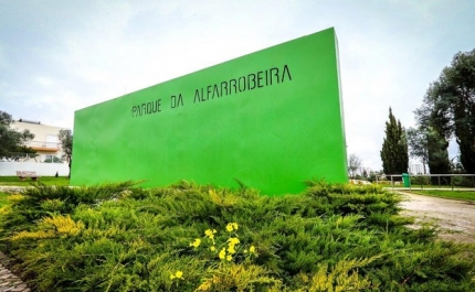 ALBUFEIRA PROSSEGUE INVESTIMENTO NA POUPANÇA DE ÁGUA DE REGA EM ESPAÇOS PÚBLICOS