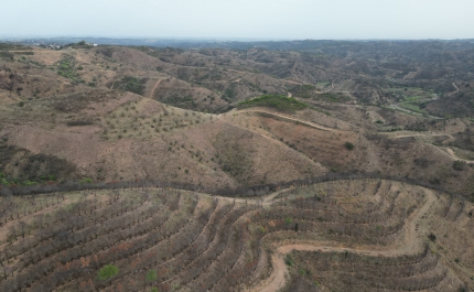 GuadiMonte apresenta Projeto de Reflorestação da Área Ardida