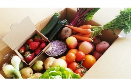 NOVA APLICAÇÃO GRATUITA PARA AJUDAR OS AGRICULTORES A VENDER