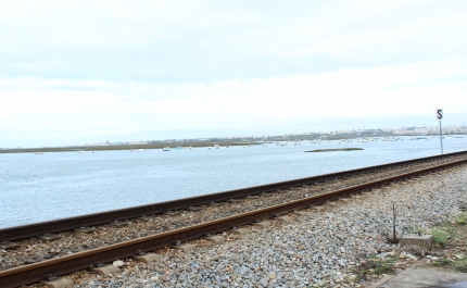 Atropelamento ferroviário em Olhão faz um ferido e suspende circulação