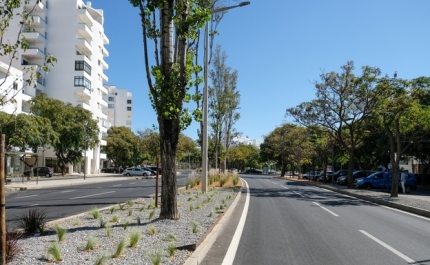 ESPAÇOS VERDES NA AVENIDA FRANCISCO SÁ CARNEIRO EM QUARTEIRA REQUALIFICADOS