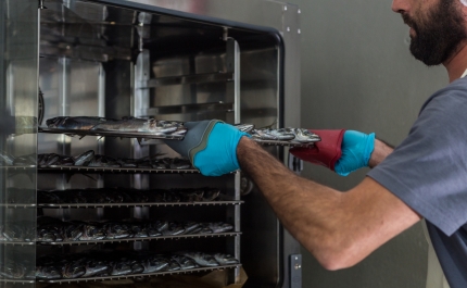 Conserveira do Arade abre portas aos curiosos