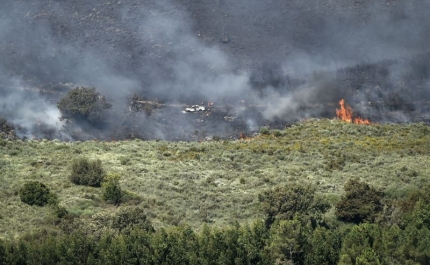 Incêndios: Mais fogos e mais área ardidas em janeiro, face ao mesmo mês de 2021
