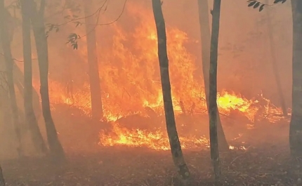 Incêndios: Fogo que deflagrou em Castro Marim com 9.000 hectares de área afetada