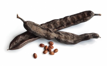 Faro - Ação de fiscalização à apanha e comércio de alfarroba