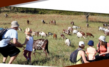 V FESTIVAL DE CAMINHADAS ALCOUTIM E SANLÚCAR DE GUADIANA
