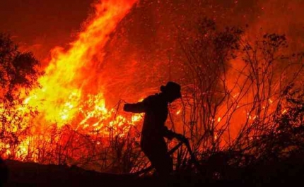 Fogo no Algarve obriga a retirar cerca de 30 pessoas e põe em perigo localidades