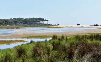 Reserva Natural Local da Foz do Almargem e do Trafal em discussão pública