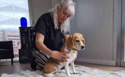 MAR Shopping Algarve promove curso de massagem para cães 