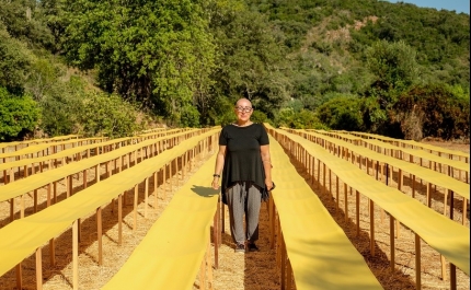 GeoPalcos: As artes vão invadir o interior do Algarve 