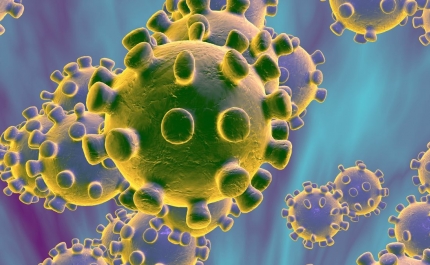 Coronavirus chega ao Algarve