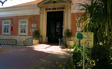 BP Portugal e Refúgio Aboim Ascensão renovam protocolo pelo sétimo ano consecutivo 