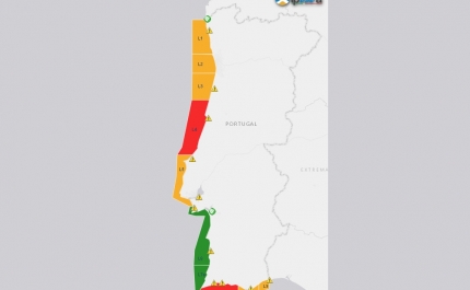 Apanha de Bivalves interdita