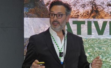 Turismo do Algarve aposta na criação de «novas motivações de visita» em 2023