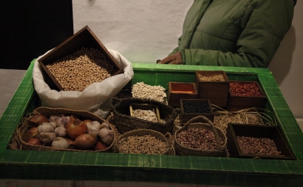 Seminário «As leguminosas na Dieta Mediterrânica»