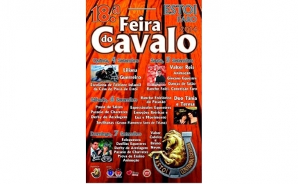 Jornada de Atrelagem da Zona Sul | Feira do Cavalo de Estoi