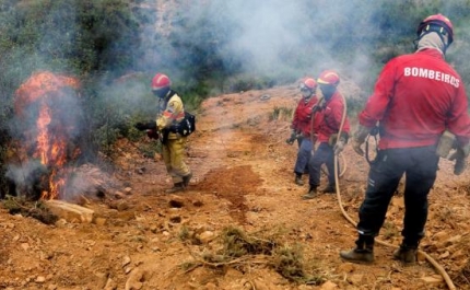 O maior incêndio de 2013 ocorreu no dia 15 de junho em Portimão