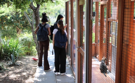  Escola Secundária de Loulé visita a Animal Rescue Algarve