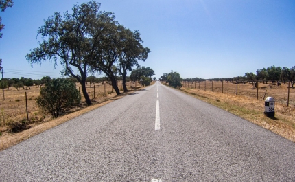 Covid-19: Governo proibe deslocações para fora do concelho de residência por cinco dias na Páscoa