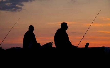 Rendimento dos pescadores supera valores pré-pandemia e atinge máximo histórico 