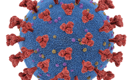 Covid-19: Algarve hoje com 990 novos casos